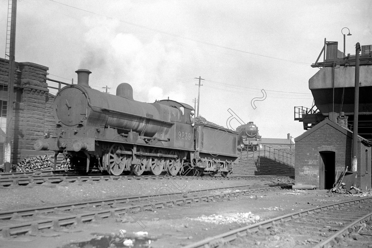 WD0955 
 ENGINE CLASS: L.N.W.R. ENGINE NUMBER: 9239 LOCATION: Edgehill DATE: 12 July 1950 COMMENTS: 
 Keywords: 12 July 1950, 9239, Cooperline, Edgehill, L.N.W.R., Steam, WD Cooper, locomotives, railway photography, trains